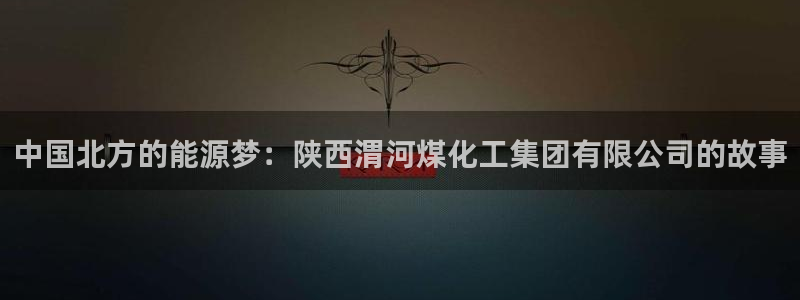 球盟会能退钱吗：中国北方的能源梦：陕西渭河煤化工集团有限公司