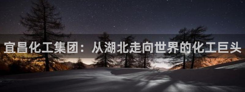 球盟会qmh电子网页版登录