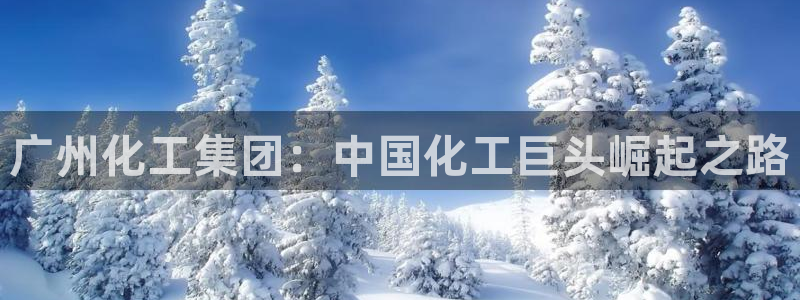 球盟会中国网页登录