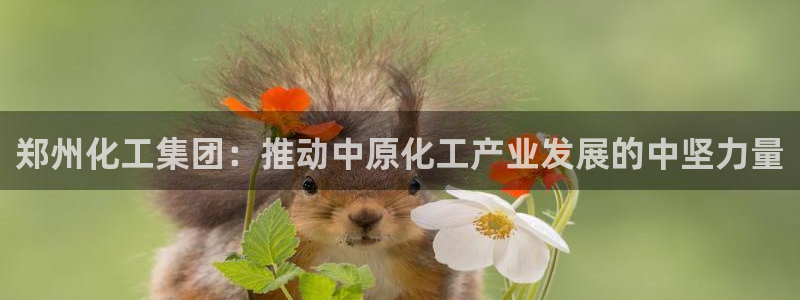 球盟会中国网页登录