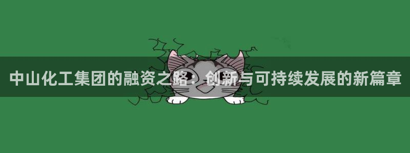 球盟会电子好黑：中山化工集团的融资之路：创新与可持续发展的新