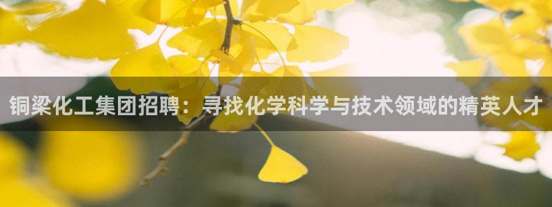 球盟会官方最新入口：铜梁化工集团招聘：寻找化学科学与技术领域