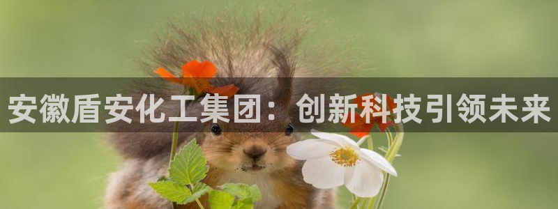 球盟会网页版登陆：安徽盾安化工集团：创新科技引领未来