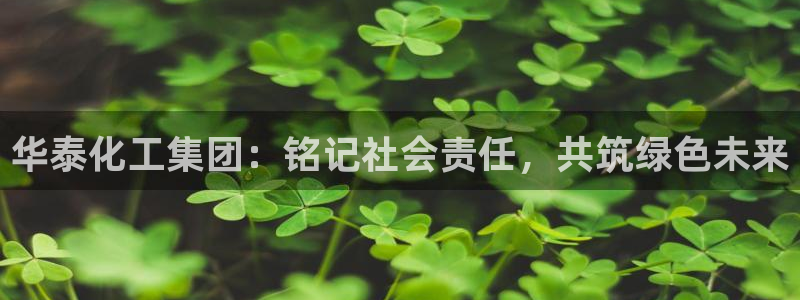球盟会优惠码：华泰化工集团：铭记社会责任，共筑绿色未来