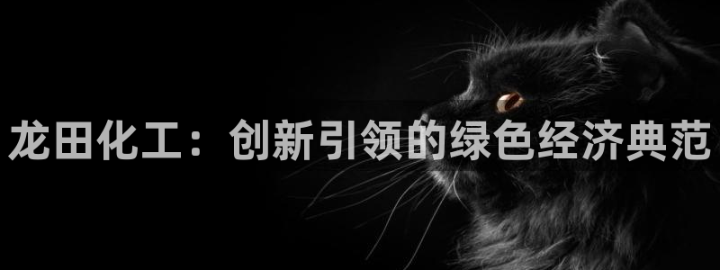 球盟会论坛：龙田化工：创新引领的绿色经济典范