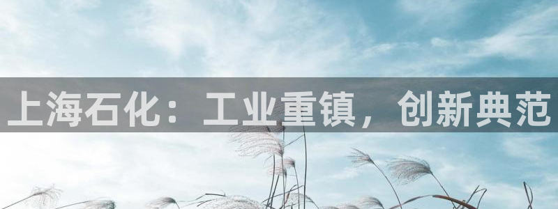 球盟会电子游戏平台：上海石化：工业重镇，创新典范