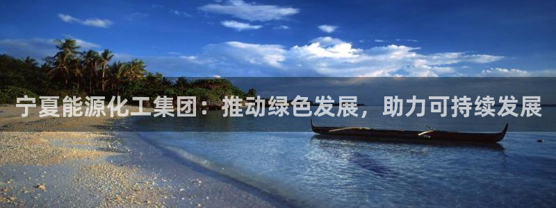 球盟会最新地址备用：宁夏能源化工集团：推动绿色发展，助力可持