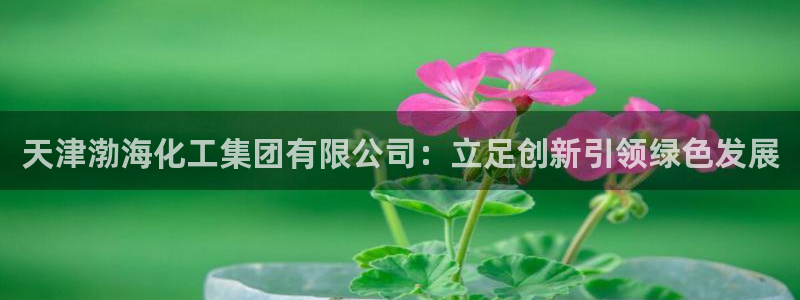 球盟会黑台：天津渤海化工集团有限公司：立足创新引领绿色发展