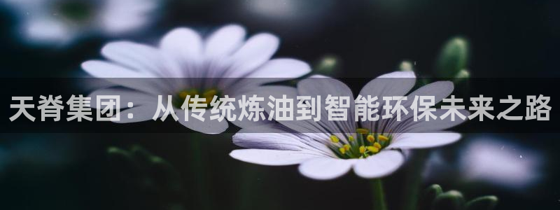 球盟会最新：天脊集团：从传统炼油到智能环保未来之路