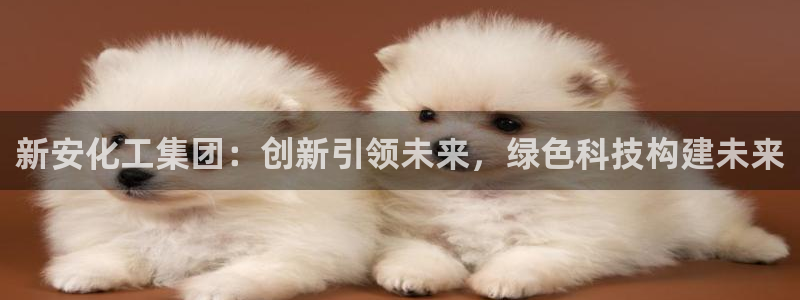 球盟会体育平台：新安化工集团：创新引领未来，绿色科技构建未来