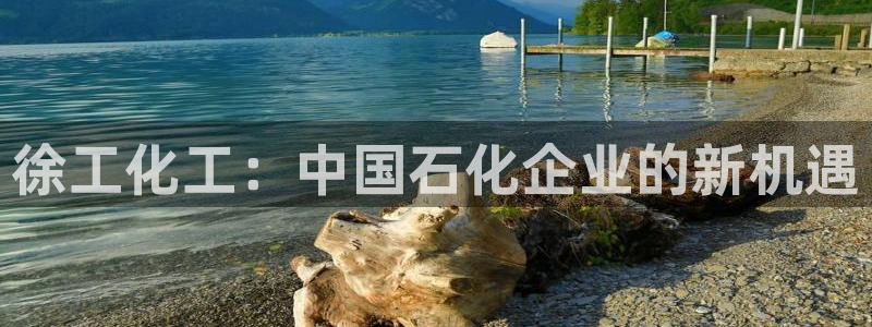 球盟会官方下载：徐工化工：中国石化企业的新机遇