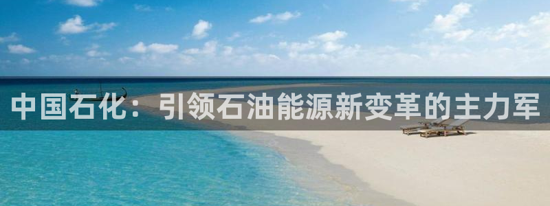 球盟会最新网：中国石化：引领石油能源新变革的主力军