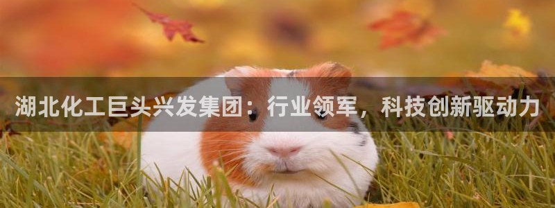 球盟会登录入口