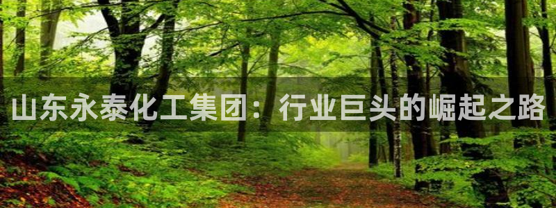 球盟会qmh - 球盟会官方网站