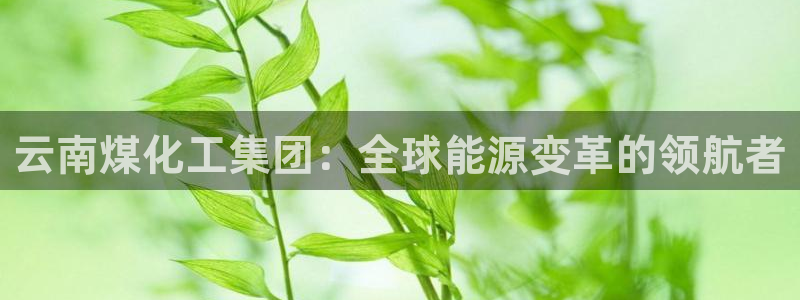 球盟会和中欧合作吗：云南煤化工集团：全球能源变革的领航者