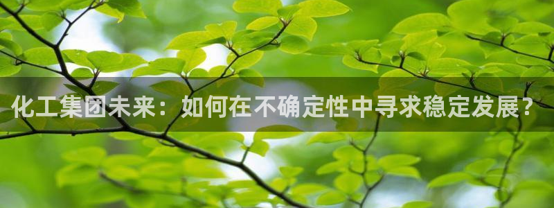 球盟会贴吧：化工集团未来：如何在不确定性中寻求稳定发展？