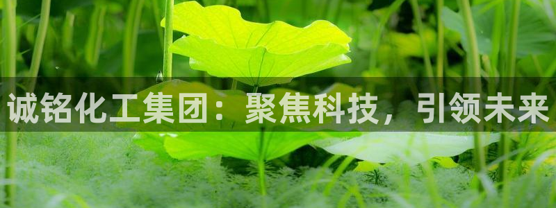 球盟会有没有黑单的：诚铭化工集团：聚焦科技，引领未来