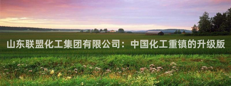 球盟会综合体育平台：山东联盟化工集团有限公司：中国化工重镇的