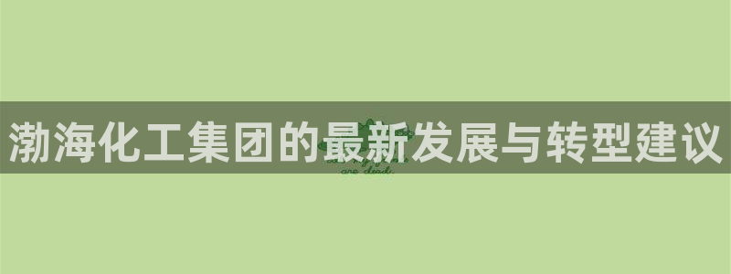 球盟会可以提现么是真的吗：渤海化工集团的最新发展与转型建议