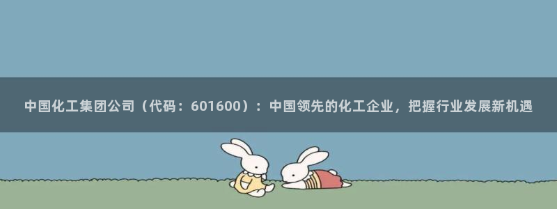 球盟会下款快吗：中国化工集团公司（代码：601600）：中国
