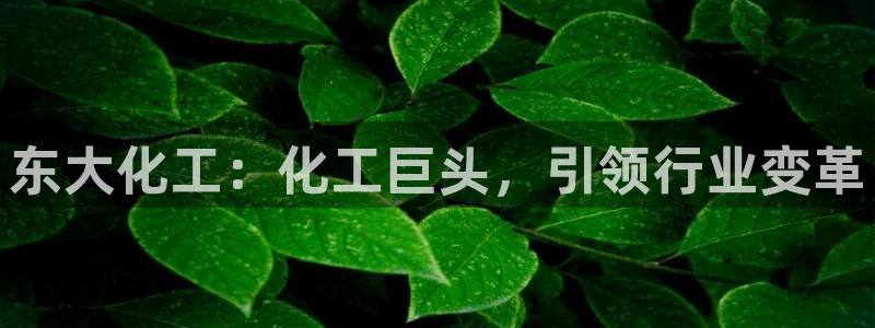 球盟会里面有打牌的嘛：东大化工：化工巨头，引领行业变革