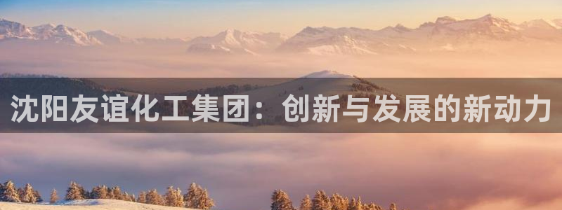 球盟会在线登录：沈阳友谊化工集团：创新与发展的新动力