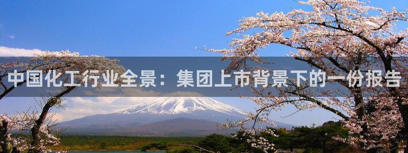 球盟会qmh网页版登录：中国化工行业全景：集团上市背景下的一