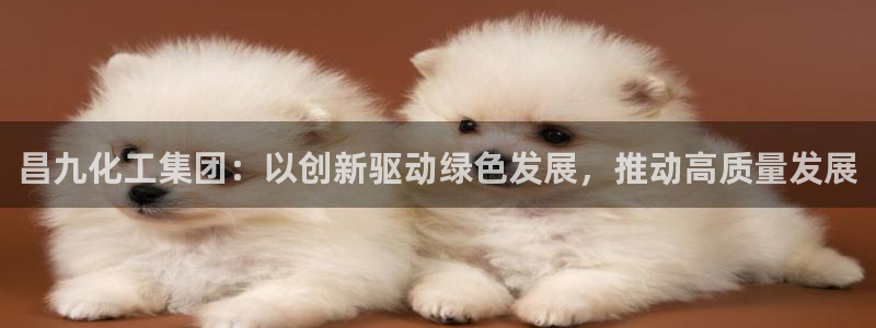 球盟会网页登录app下载地址：昌九化工集团：以创新驱动绿色发