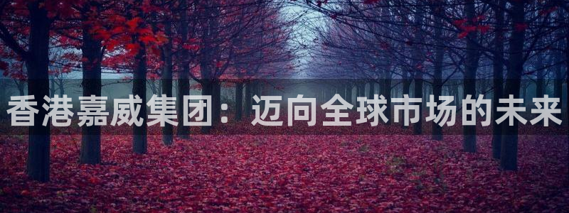 球盟会登陆：香港嘉威集团：迈向全球市场的未来