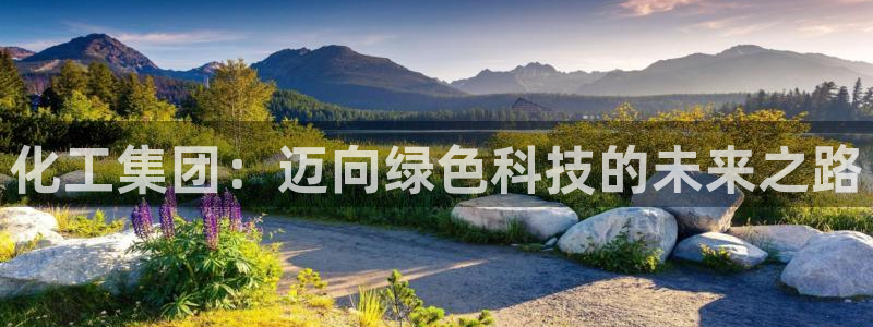 球盟会进不去吗：化工集团：迈向绿色科技的未来之路