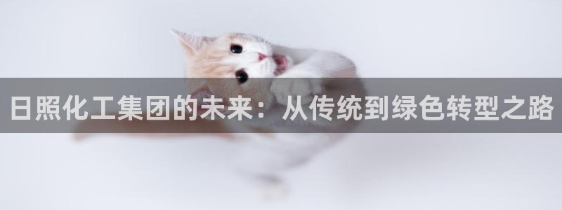 球盟会里面有打牌的嘛：日照化工集团的未来：从传统到绿色转型之