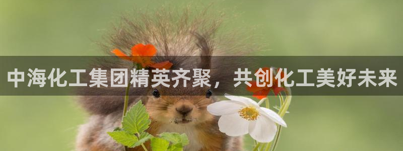 球盟会网页版登陆