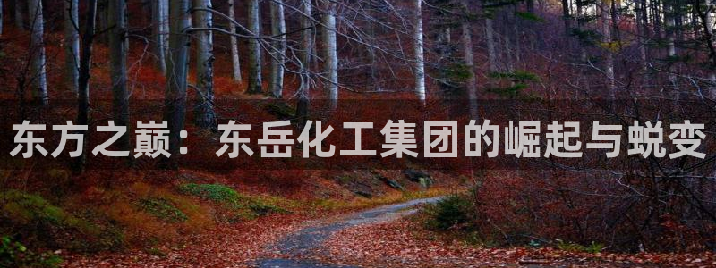 球盟会qmh网址：东方之巅：东岳化工集团的崛起与蜕变