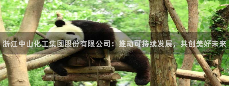 球盟会里面有打牌的嘛：浙江中山化工集团股份有限公司：推动可持