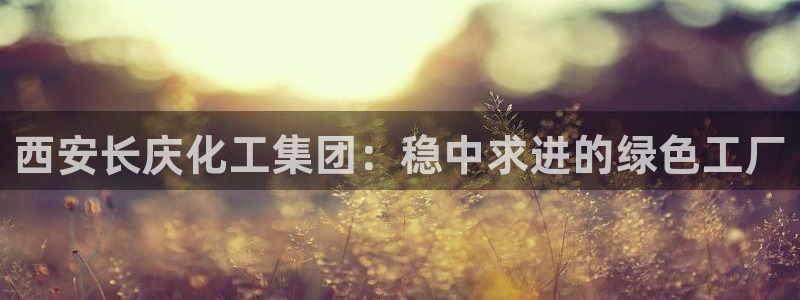 球盟会进不去：西安长庆化工集团：稳中求进的绿色工厂
