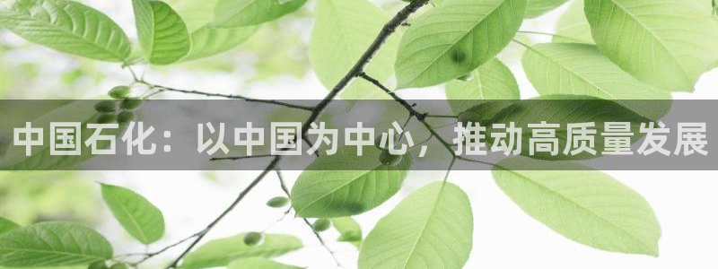 球盟会app最新地址下载安装：中国石化：以中国为中心，推动高