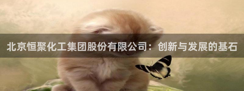 球盟会邮箱：北京恒聚化工集团股份有限公司：创新与发展的基石