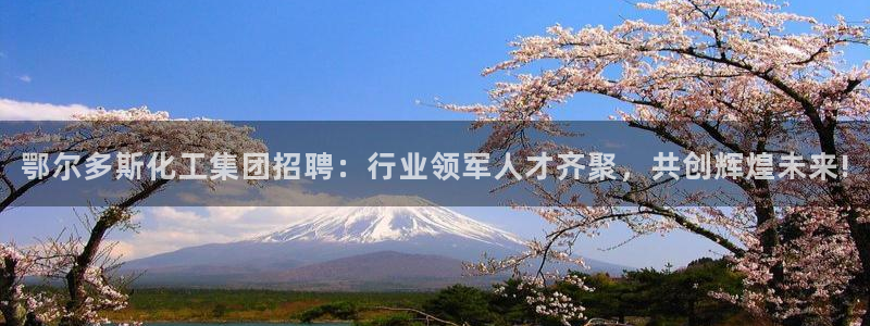球盟会电子游戏平台：鄂尔多斯化工集团招聘：行业领军人才齐聚，