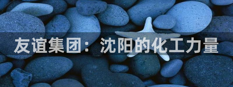 球盟会电子好黑：友谊集团：沈阳的化工力量