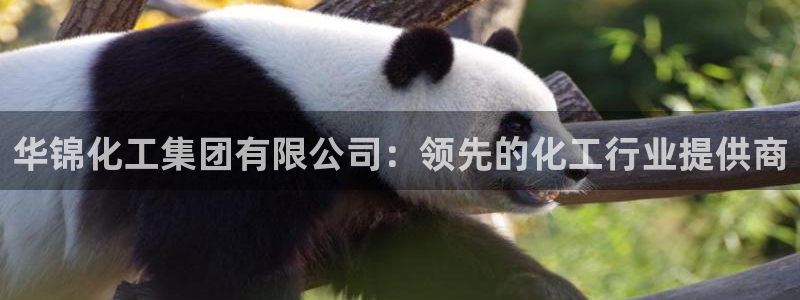 球盟会下款快吗：华锦化工集团有限公司：领先的化工行业提供商