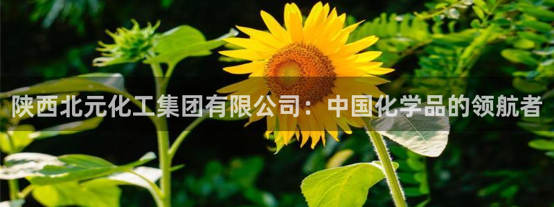 球盟会app入口：陕西北元化工集团有限公司：中国化学品的领航