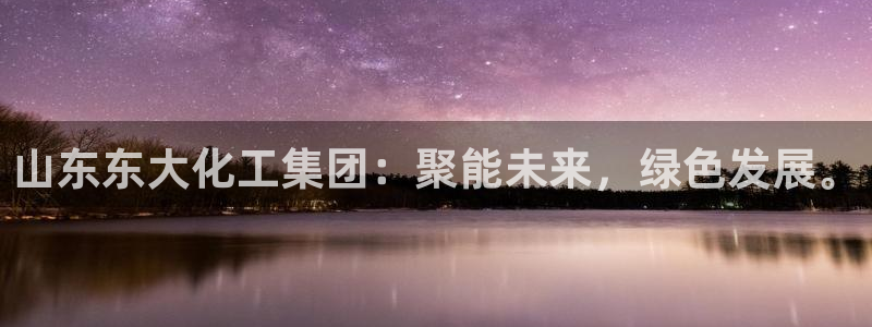 球盟会登录平台入口：山东东大化工集团：聚能未来，绿色发展。