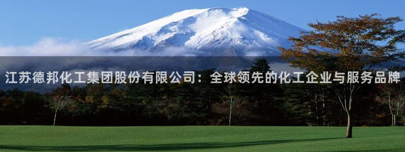 球盟会游戏：江苏德邦化工集团股份有限公司：全球领先的化工企业