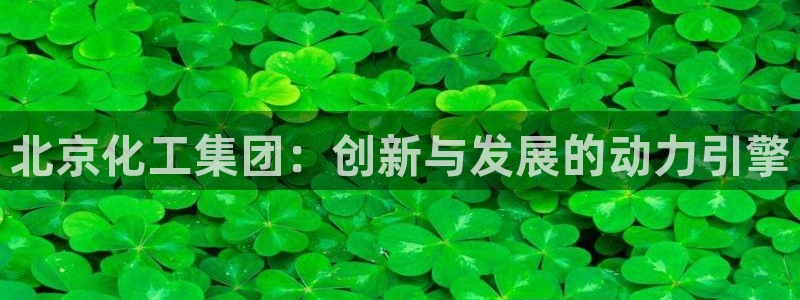 球盟会和中欧合作吗：北京化工集团：创新与发展的动力引擎