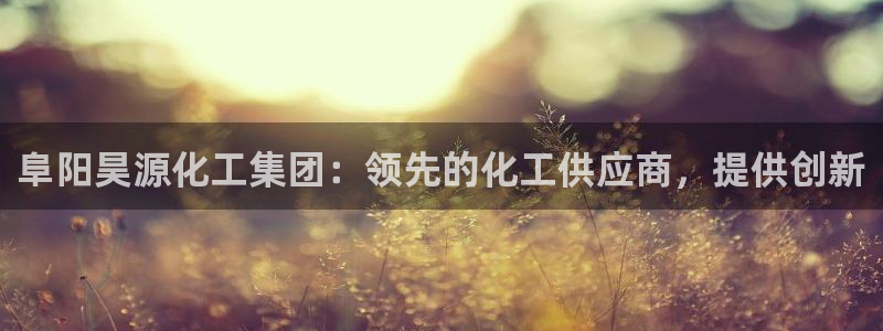 球盟会黑钱：阜阳昊源化工集团：领先的化工供应商，提供创新