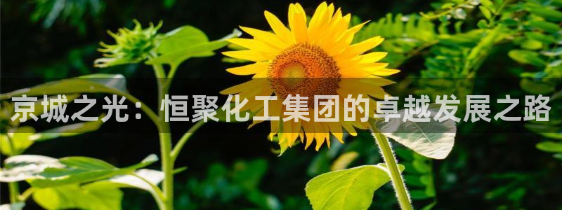 球盟会可以提现么：京城之光：恒聚化工集团的卓越发展之路