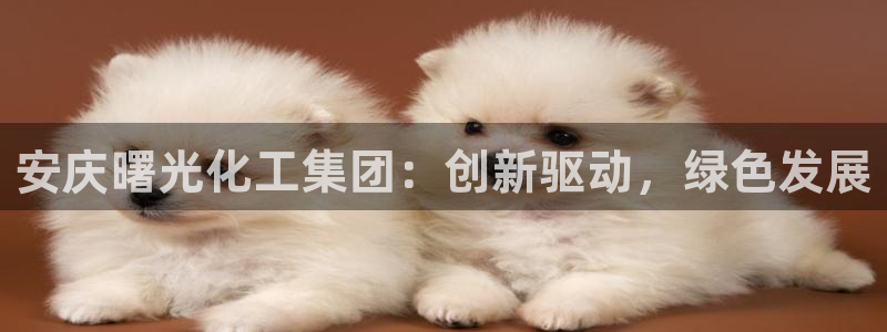 球盟会官网：安庆曙光化工集团：创新驱动，绿色发展