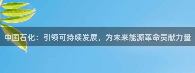 球盟会中国官方网站：中国石化：引领可持续发展，为未来能源革命