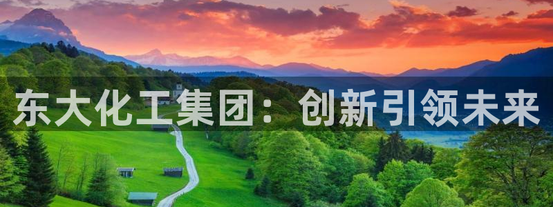 球盟会在线网站：东大化工集团：创新引领未来