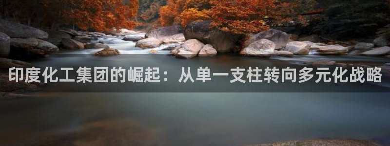 球盟会唯一：印度化工集团的崛起：从单一支柱转向多元化战略